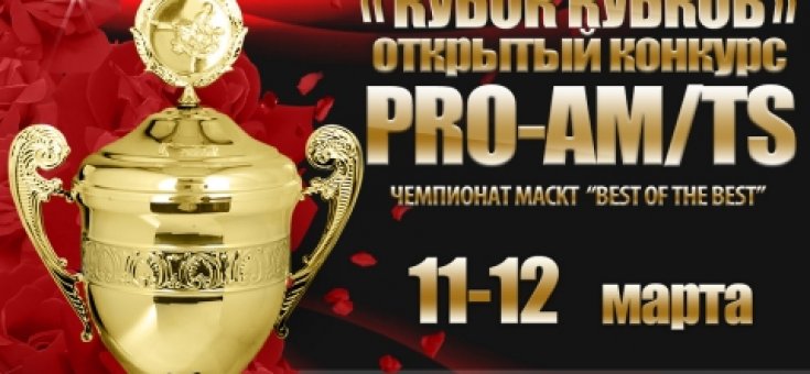 Pro-AM / TS - КУБОК КУБКОВ 2017